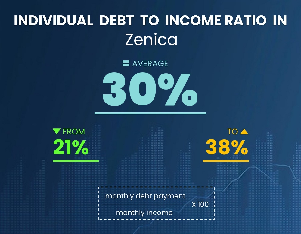 Chart showing debt-to-income ratio in Zenica