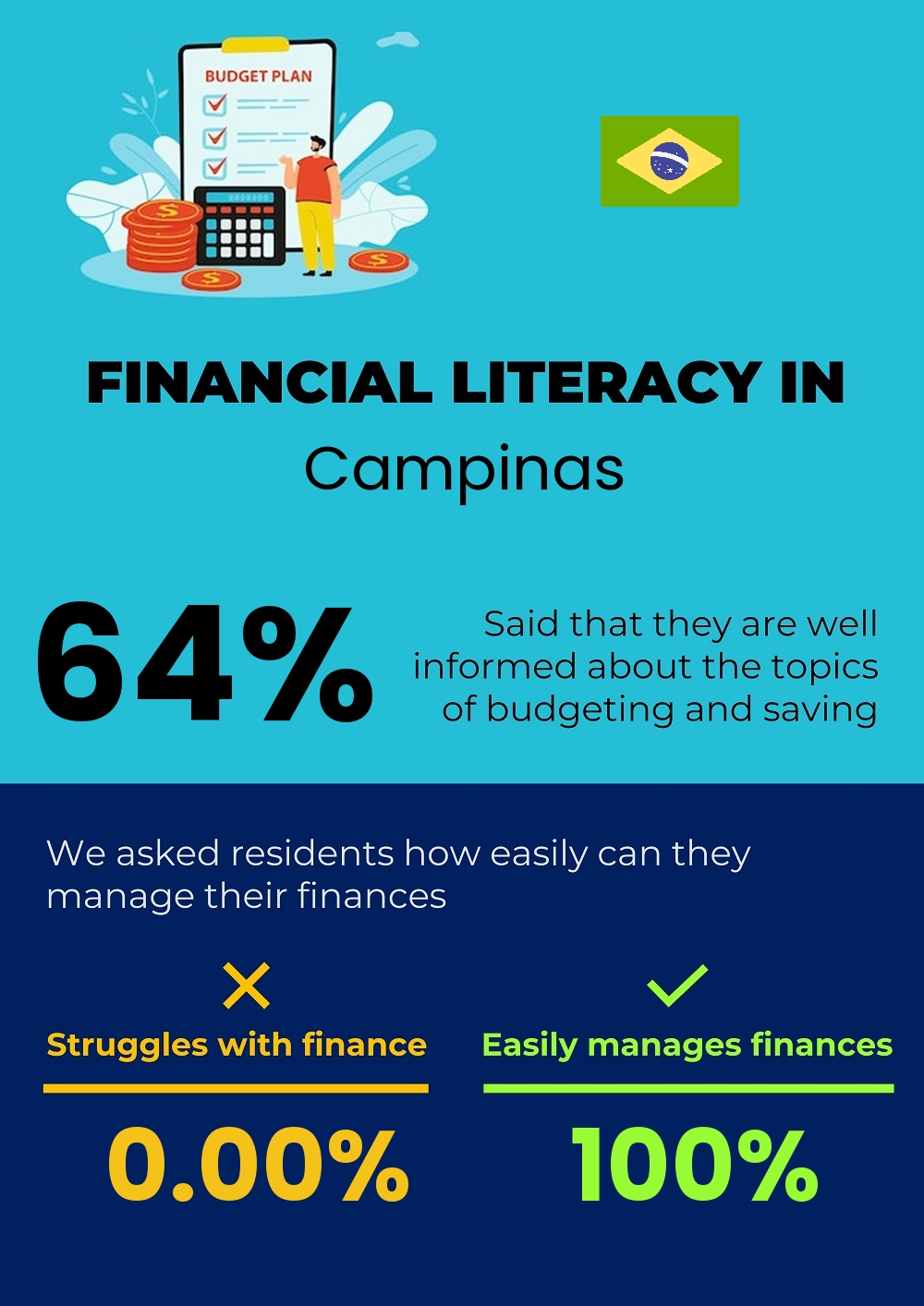 Financial literacy and difficulty in budgeting and financial planning in Campinas