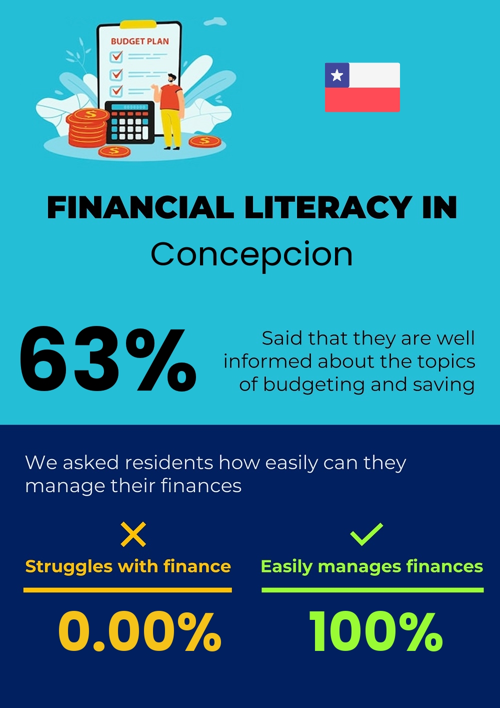 Financial literacy and difficulty in budgeting and financial planning in Concepcion