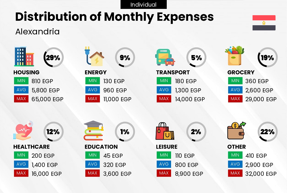 A break down of the monthly expenses of an individual in Alexandria and how they contribute to the cost of living Distribution of monthly cost of living expenses of a single person in Alexandria