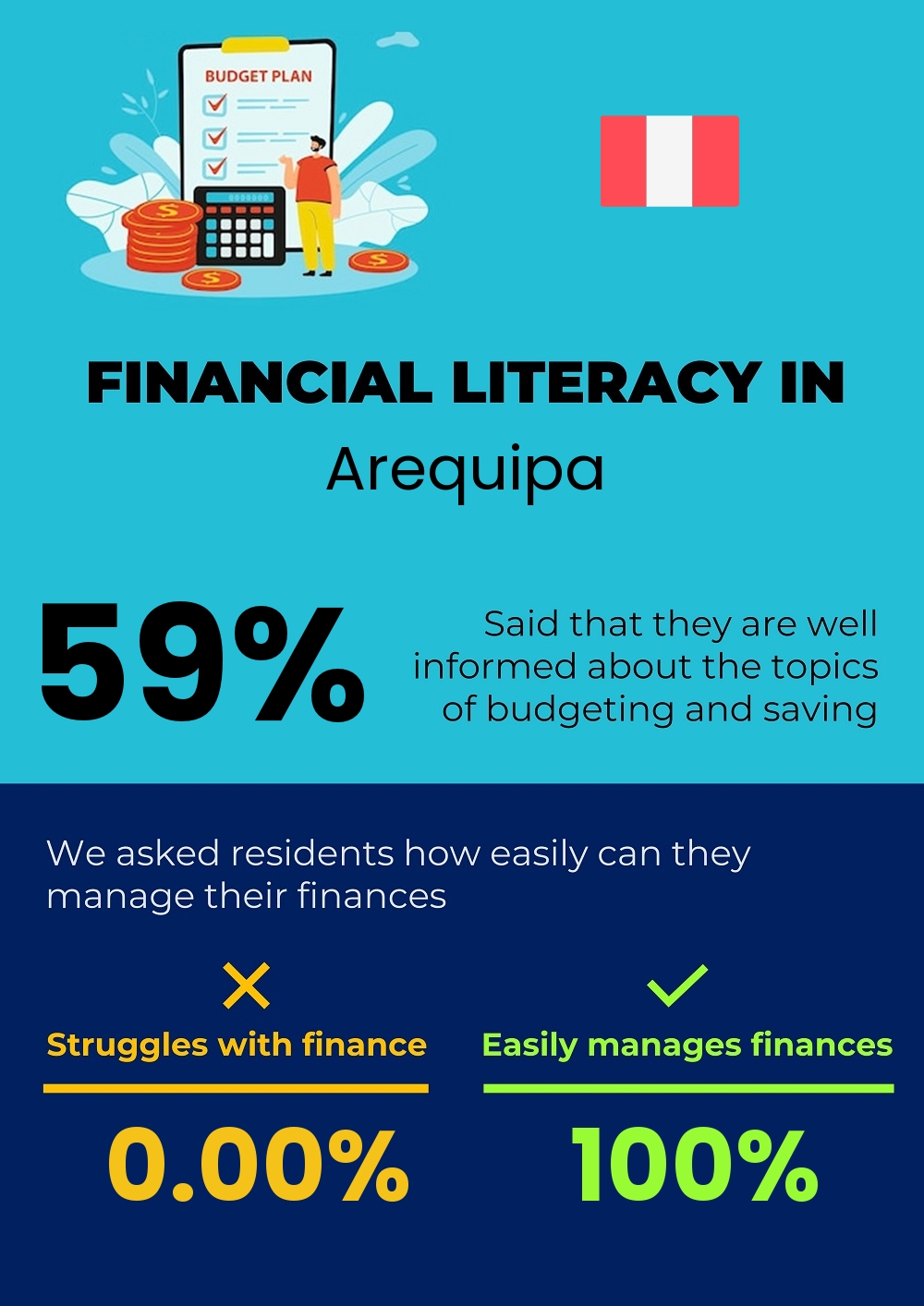 Financial literacy and difficulty in budgeting and financial planning in Arequipa