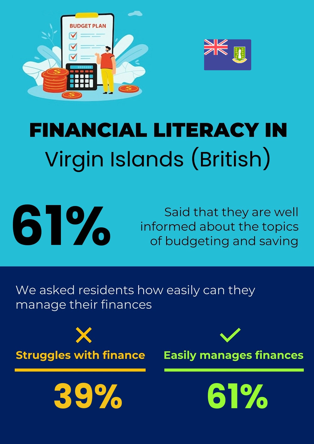 Financial literacy and difficulty in budgeting and financial planning for individuals in Virgin Islands (British)