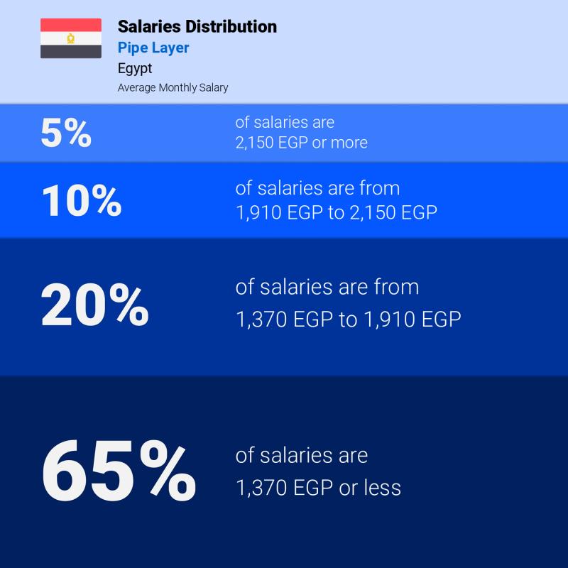 Median and salary distribution Egypt Pipe Layer