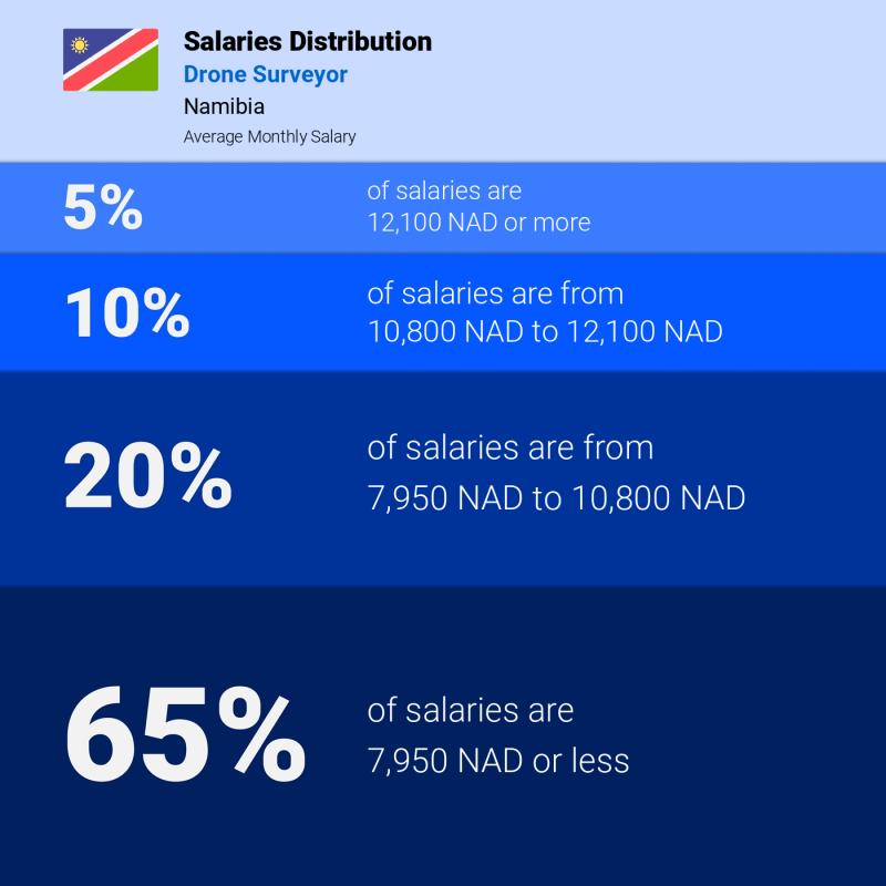 Median and salary distribution Namibia Drone Surveyor