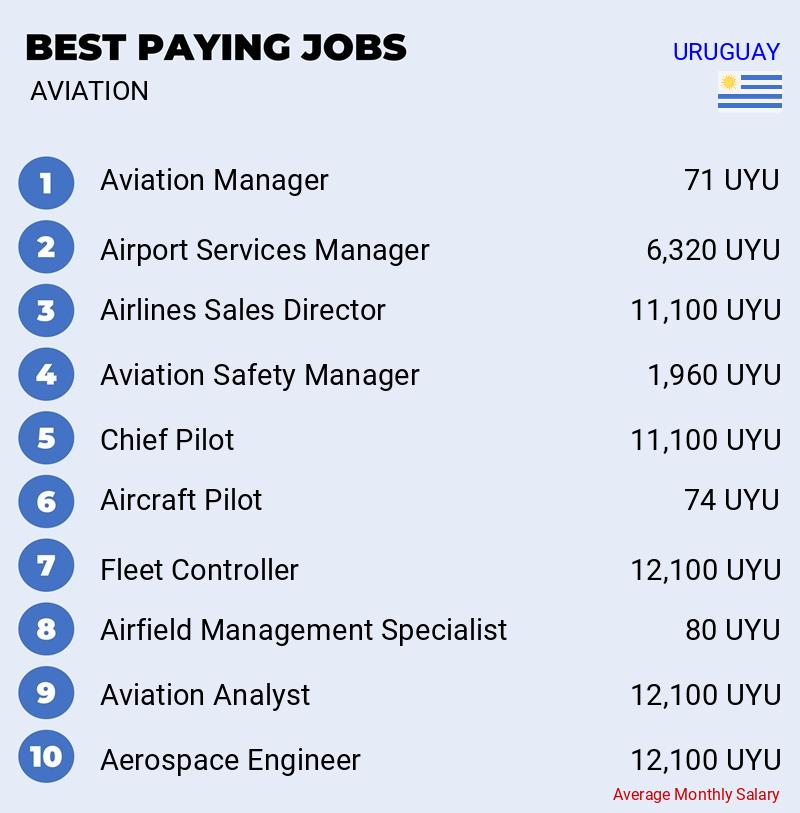 High Paying Jobs in Aviation - Uruguay